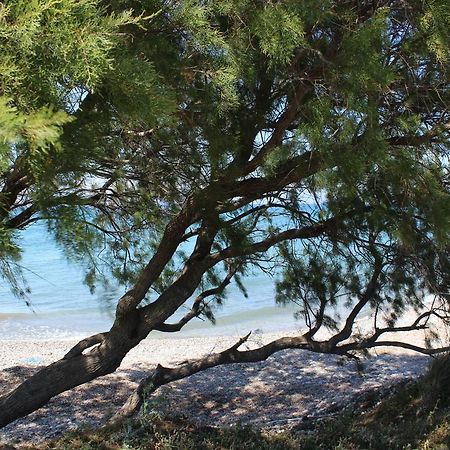 Corellia Asterias Beach Hotel Theologos (Rhodes) Bagian luar foto