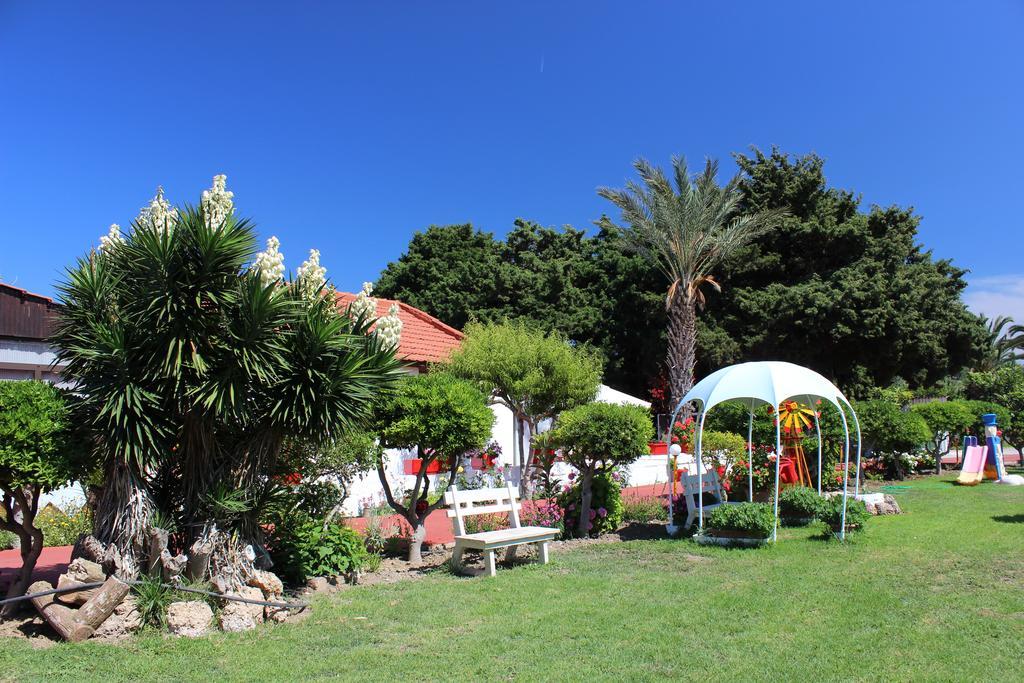 Corellia Asterias Beach Hotel Theologos (Rhodes) Bagian luar foto